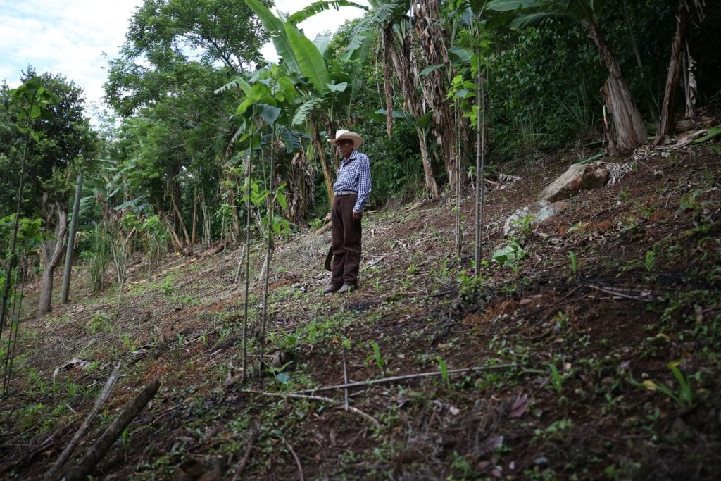  (Source: NBC News’ Central America’s choice: Pray for rain or migrate)