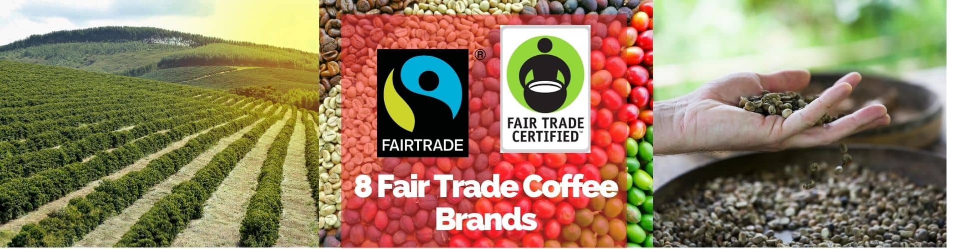 fair trade coffee brands