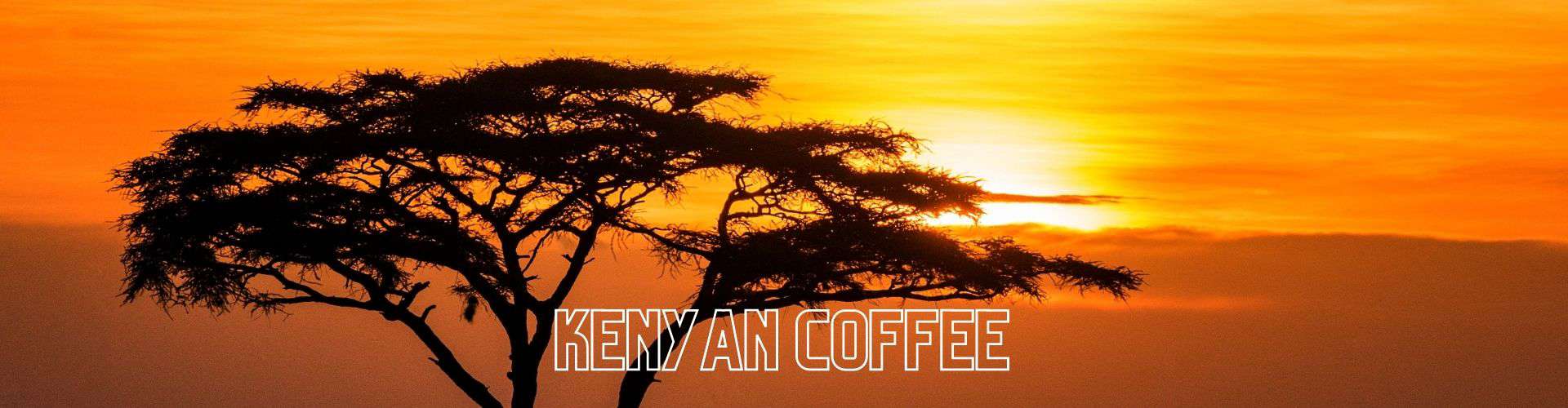 kenyan coffee