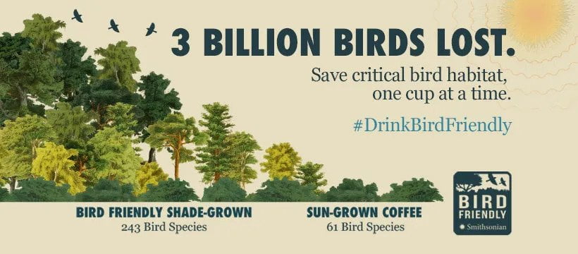 Bird Friendly Ad