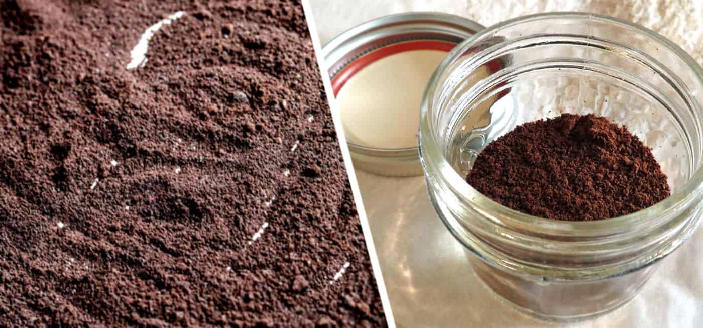 Espresso Powder Featured